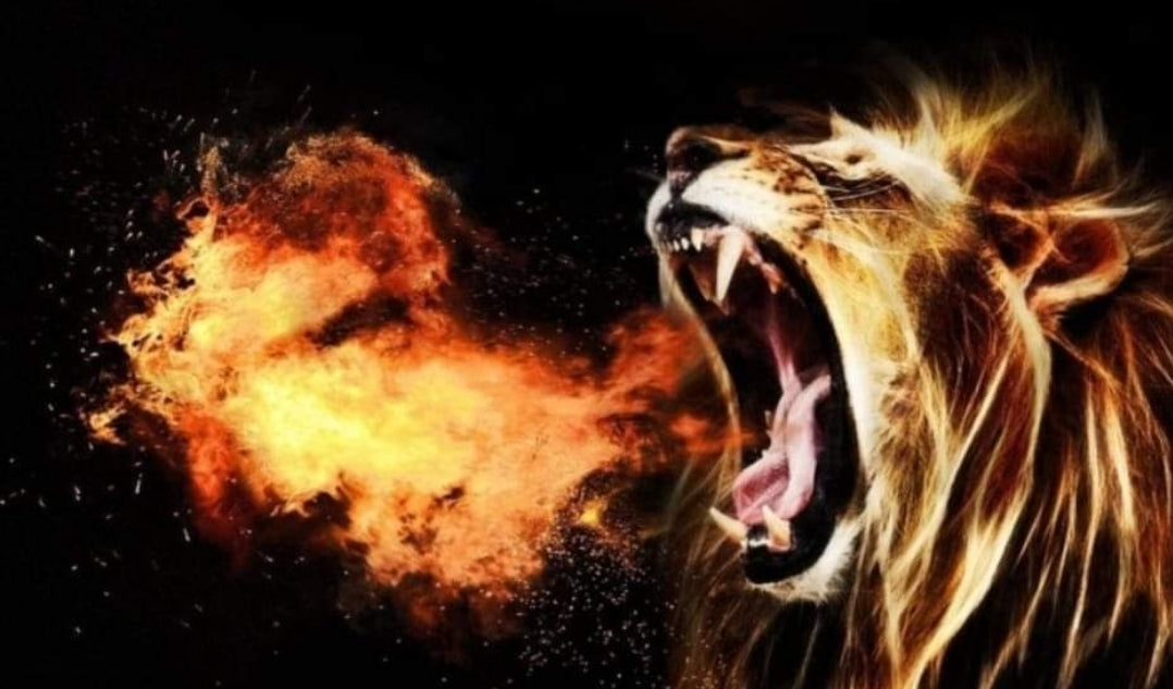 Roaring Lion