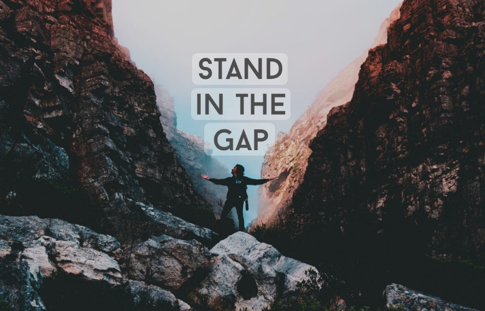 Stand In The Gap