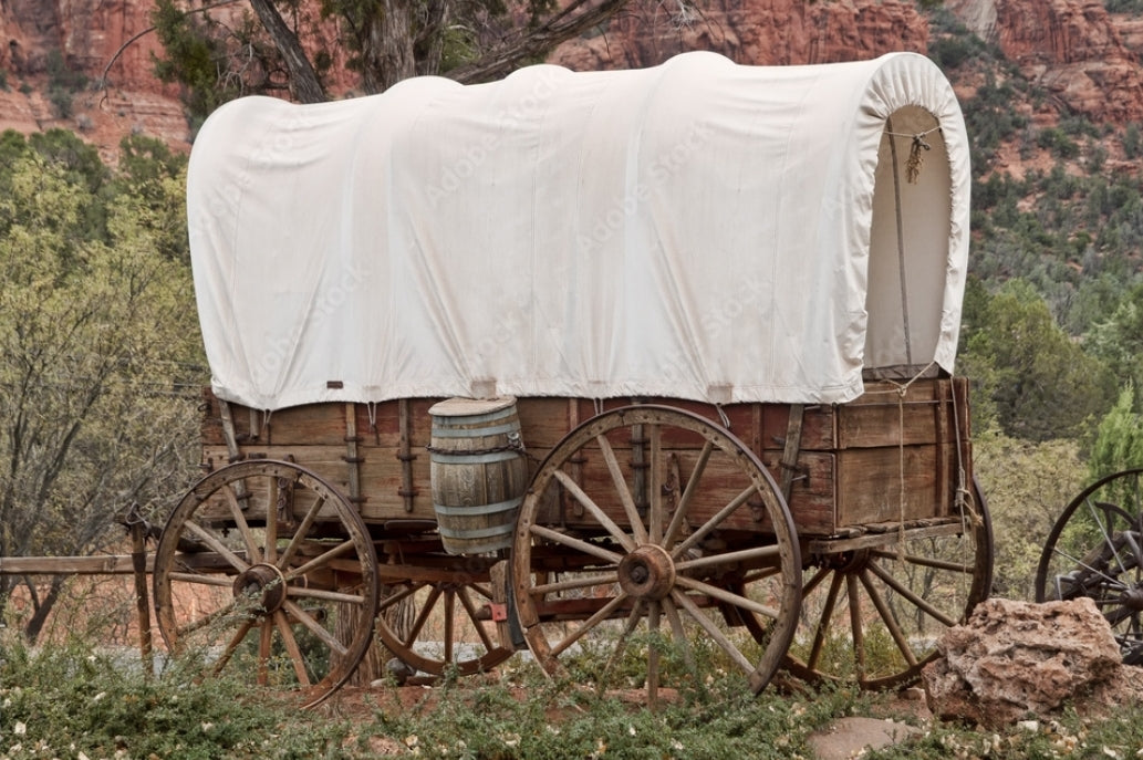 Discern Where To Hitch Your Wagon