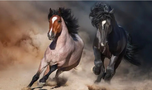 Meekness Is Not Weakness: It's Power Under Control