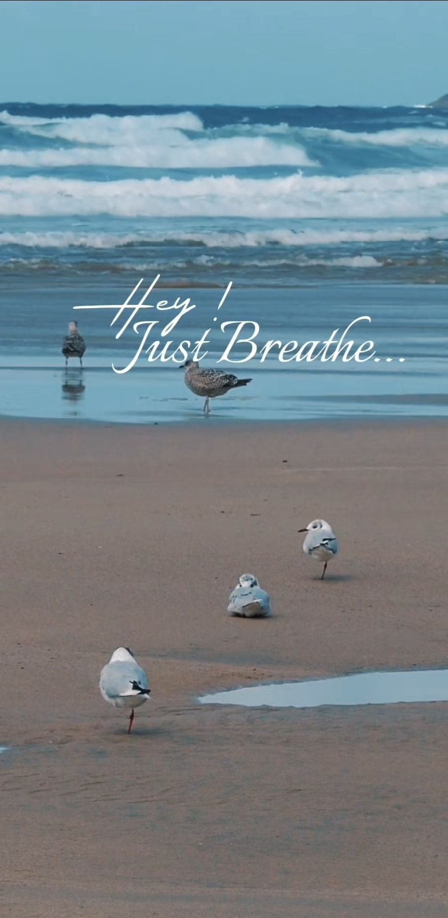 You Can't Think Your Way Out Of Overwhelm: Just Breathe